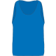 product-sininen-swatch