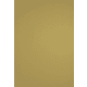 product-gold-swatch