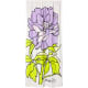 product-2/purple-swatch