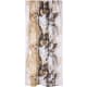 product-1000 beige-swatch