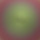 product-passion green-swatch