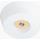 product-ash-swatch