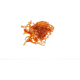 product-tummanruskea-swatch