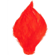 product-fl.oranssi-swatch
