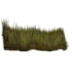 product-black olive-swatch