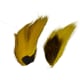 product-yellow-swatch