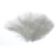 product-white-swatch