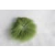 product-olive-swatch