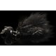 product-black-swatch