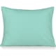product-mint-swatch