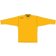 product-gold-swatch