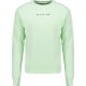 product-lt-green-swatch