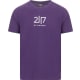 product-purple ash-swatch