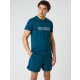 product-reflecting pond-swatch