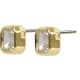 product-gold/clear-swatch