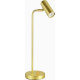 product-brushed brass-swatch