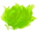 product-chartreuse-swatch