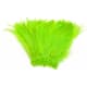 product-chartreuse-swatch