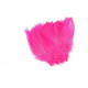 product-hot pink-swatch
