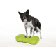 product-green-swatch