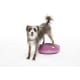 product-pinkki-swatch