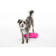 product-pink-swatch