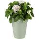 product-green-swatch