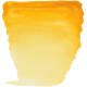 product-238 gamboge-swatch