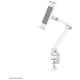 product-white-swatch