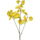 product-yellow-swatch