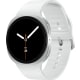 product-silver-swatch