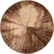 product-brown-swatch