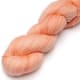 product-2023 coral blush-swatch