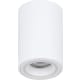 product-white-swatch