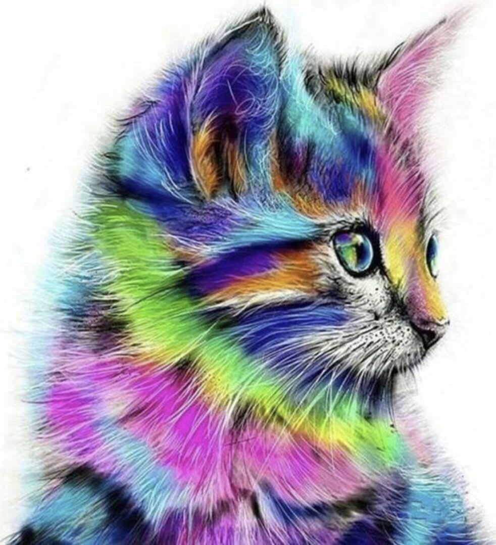 Figure'd Art Colorful Kitten numeromaalaus verkkokauppa