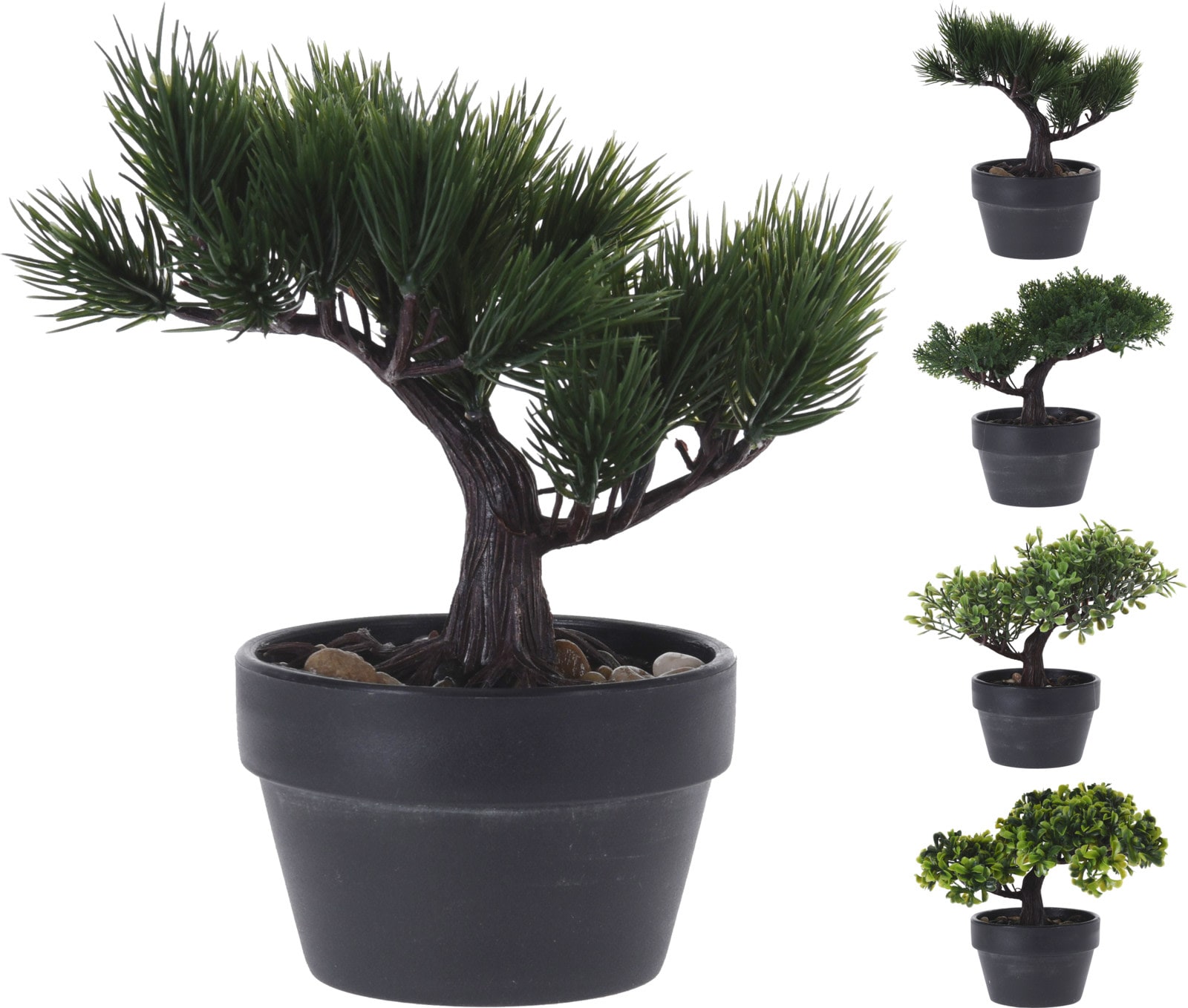 H&S bonsai puu verkkokauppa