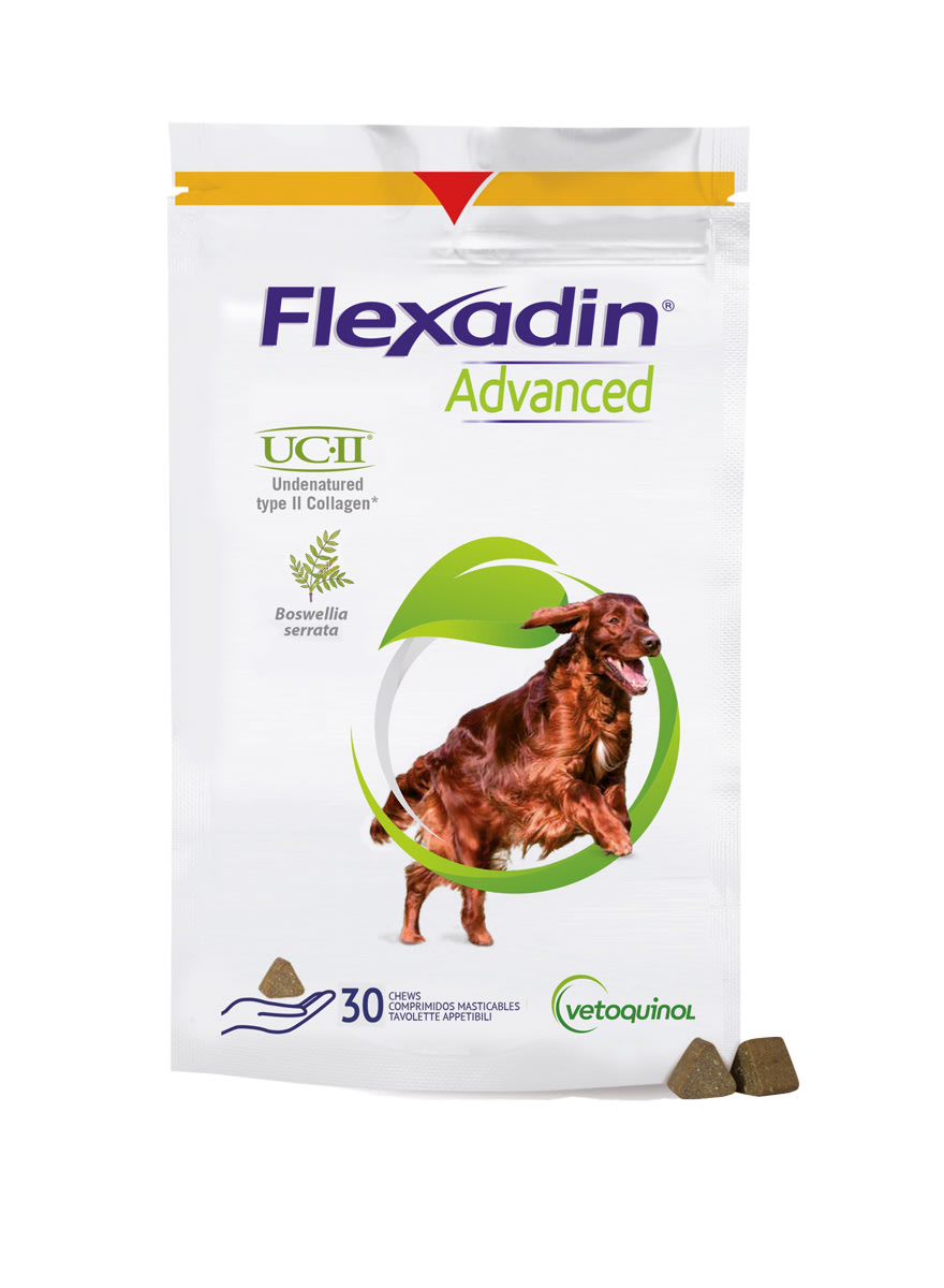 Flexadin Advanced koiran täydennysrehu