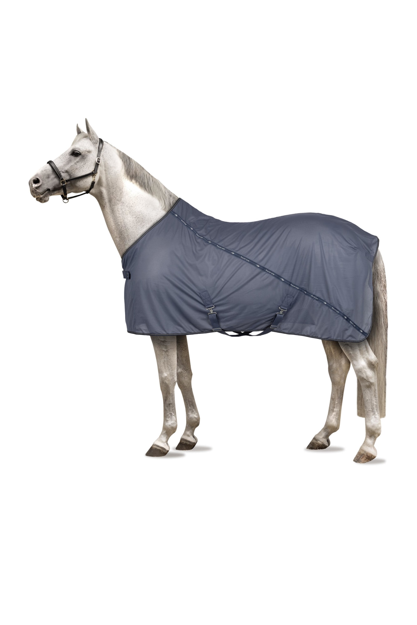 Horze Dorchester verkkoloimi