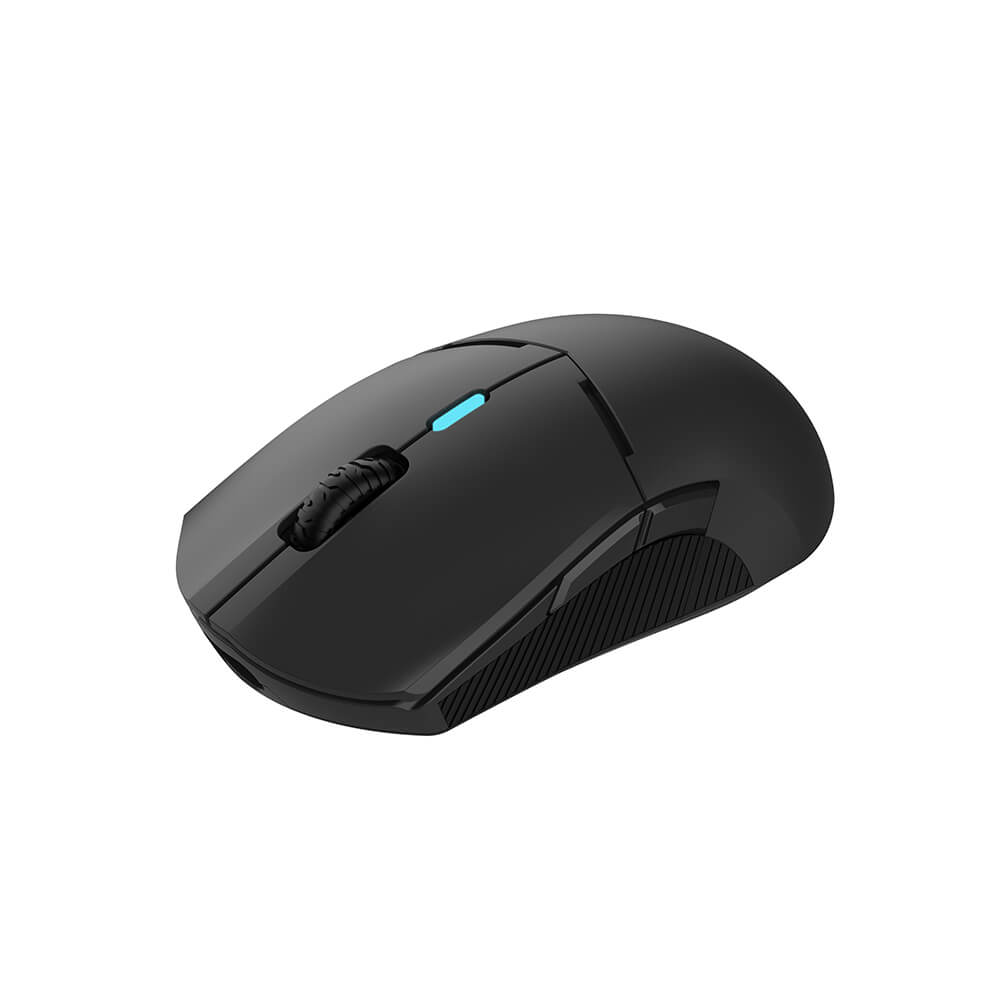 Qpad Gaming Mouse DX900