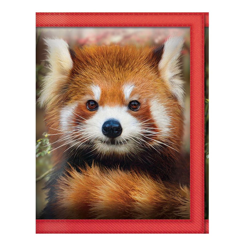 Deluxebase 3D LiveLife Wallets Baby Red Panda lompakko