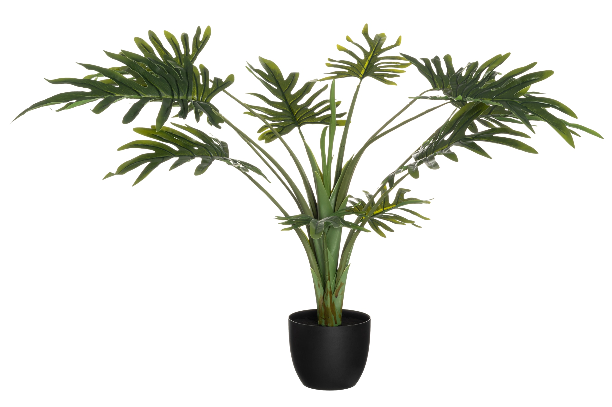 4Living 96 cm Peikonkämmen