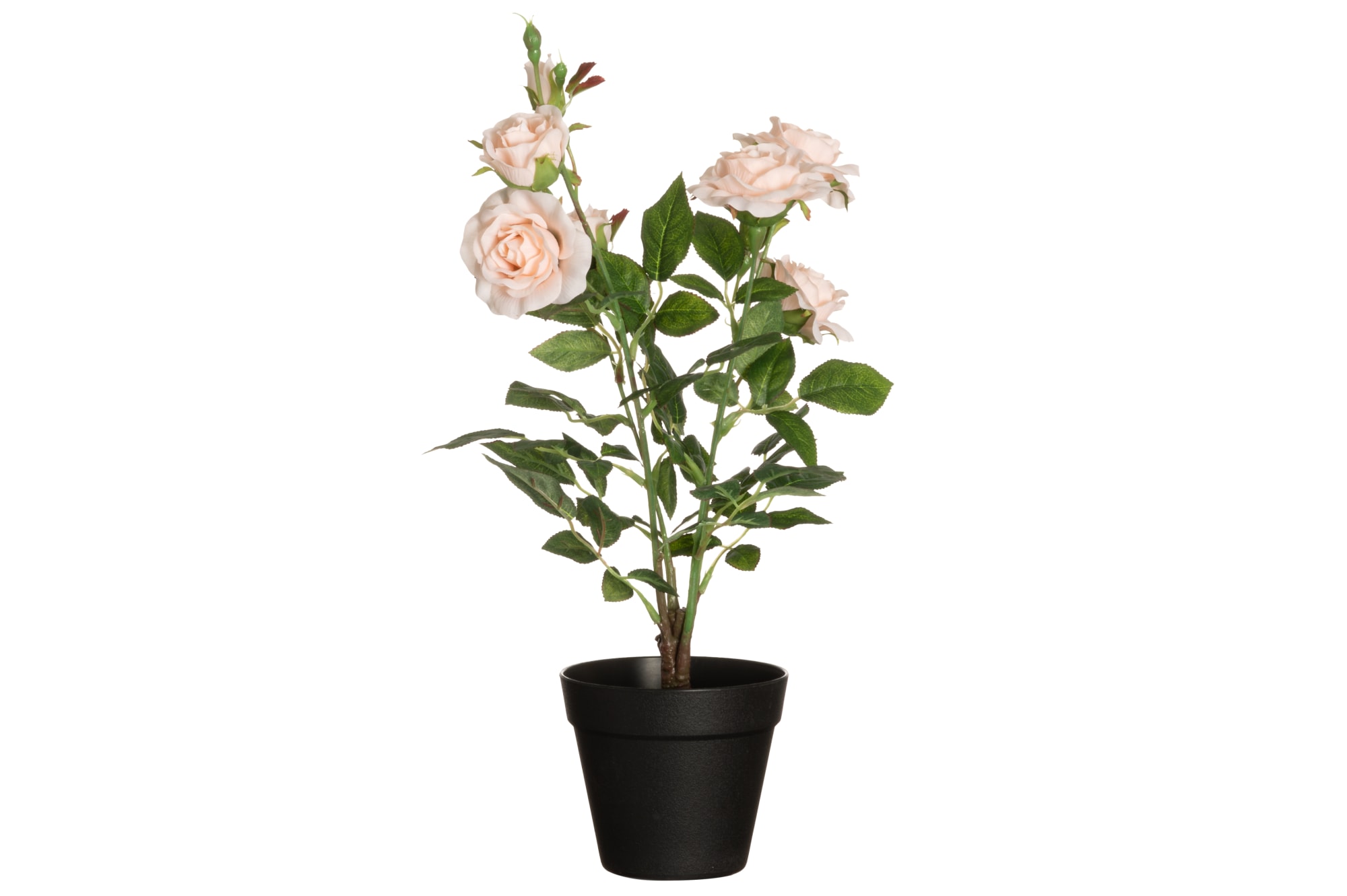 4Living 49 cm isokukkainen ruusu ruukussa