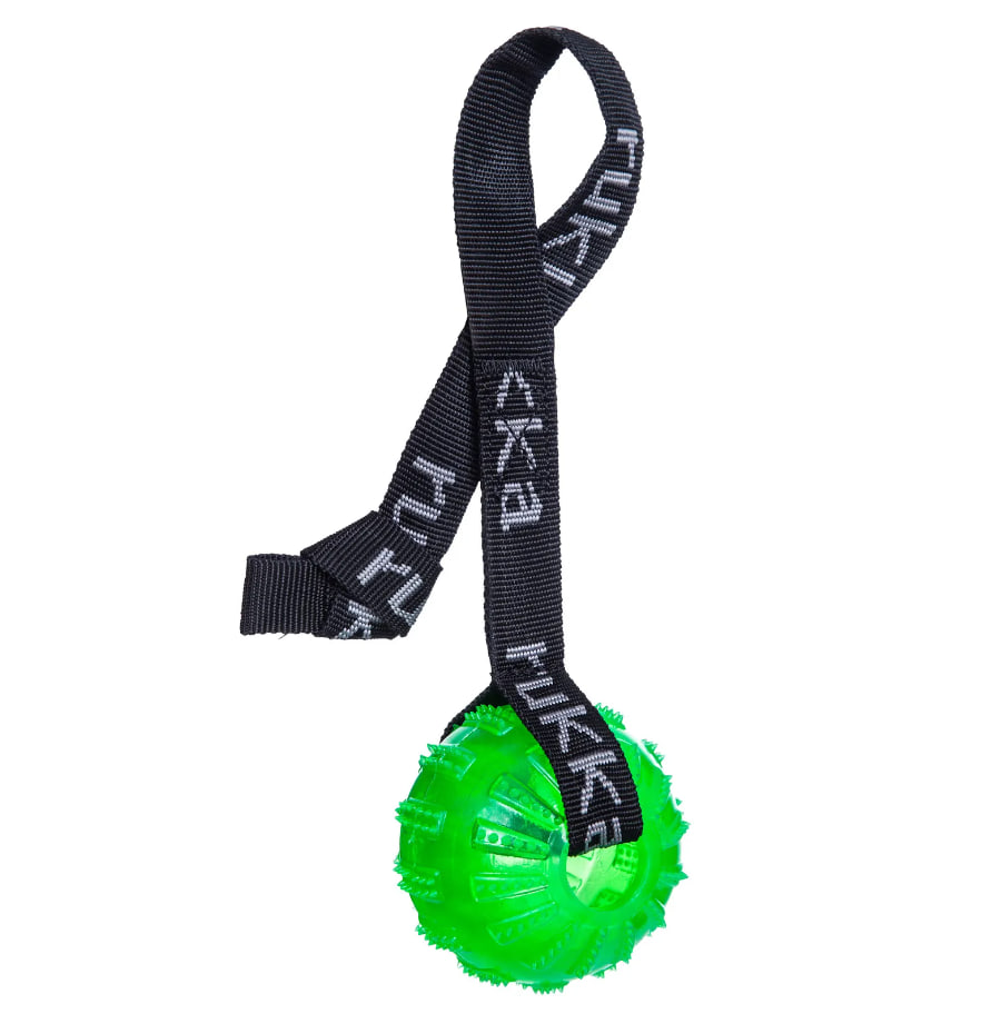 Rukka koiran geelipallo nauhalla