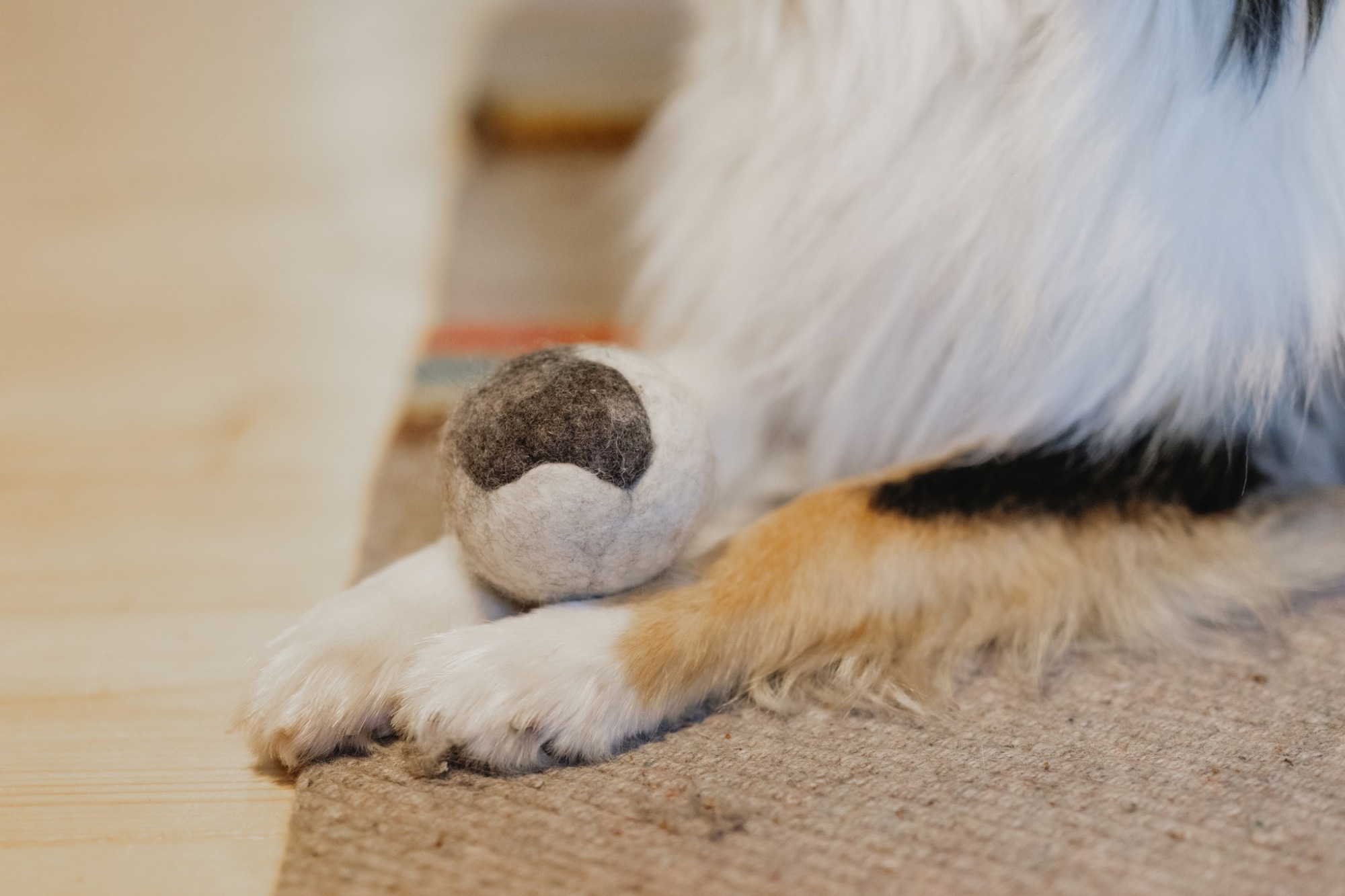 Pawilla midi villapallo koiralle