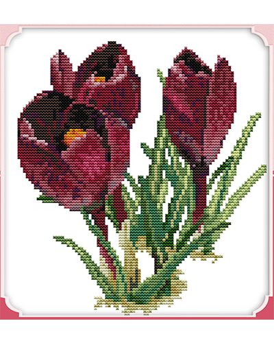 Farnia Violetit tulppaanit ristipistopakkaus