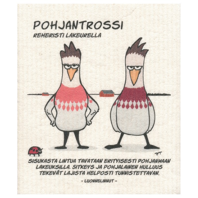 More Joy pohjantrossi ekoliina