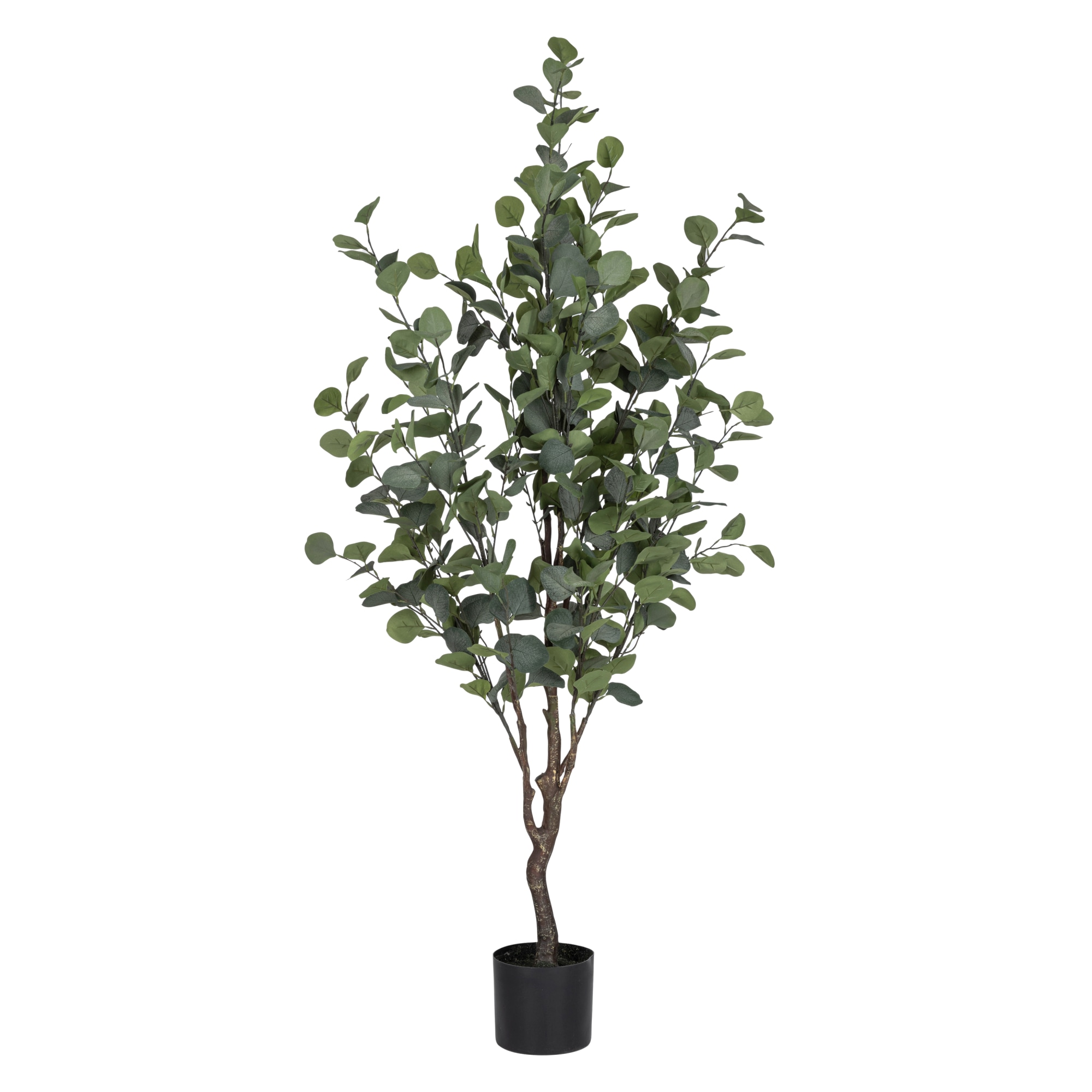Verdola 150 cm eukalyptuspuu tekokasvi