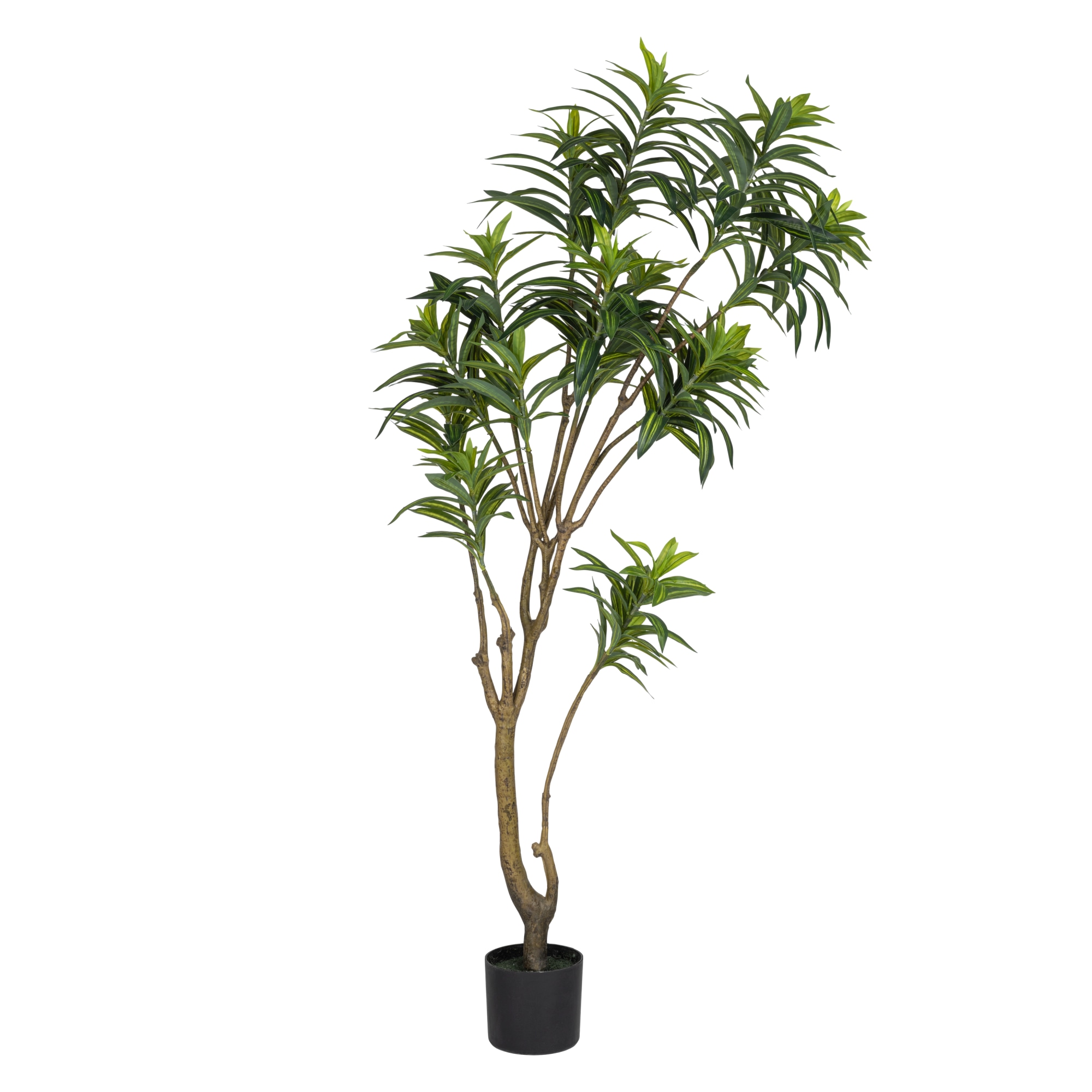 Verdola Real Touch 160 cm sirotraakkipuu tekokasvi