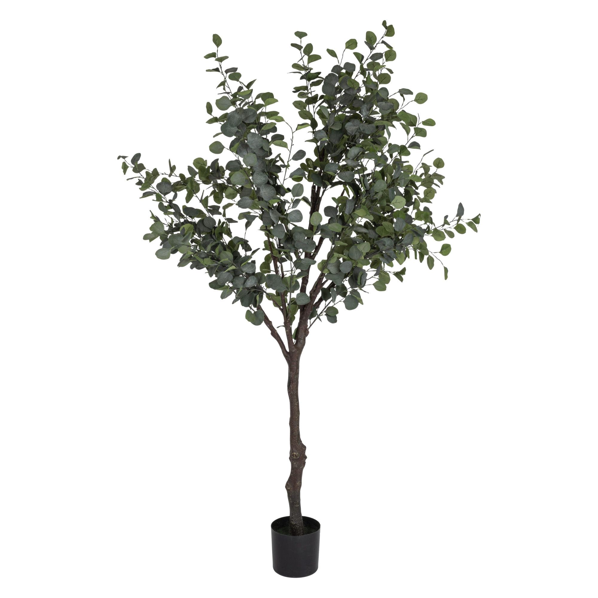 Verdola 210 cm eukalyptuspuu tekokasvi