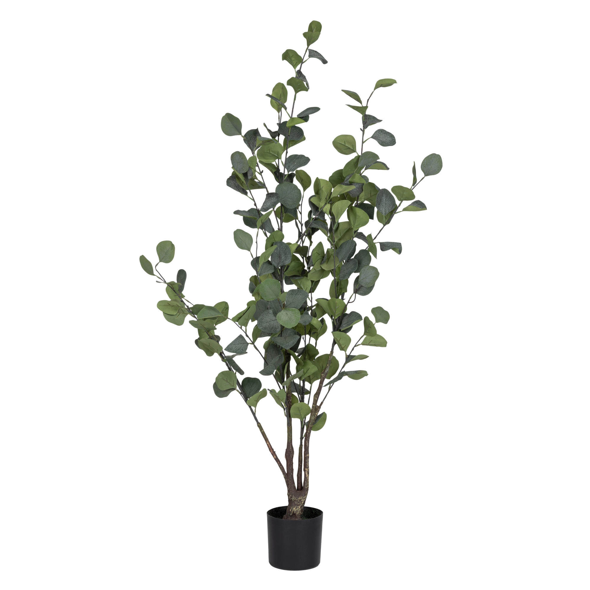 Verdola 120 cm eukalyptuspuu tekokasvi